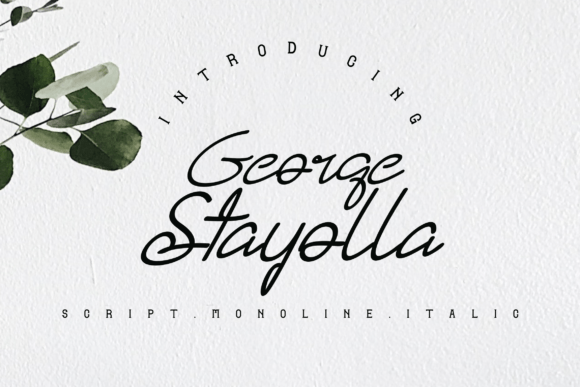 George Stayolla Font: When Elegant Handwriting Meets Modern Branding