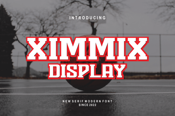 Ximmix Display: Where Charm Meets Clarity